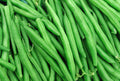 String Bean Seeds | 50+ Non-GMO Blue Lake Heirloom | Bush Variety for Home Gardening | Phaseolus vulgaris