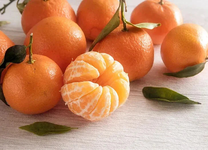 Clementine Orange Seeds - 5+ Pack for Garden Planting - Citrus reticulata - USA Grown, Fast Shipping