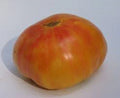 Old German Tomato Seeds - 25 Fresh Seeds - Heirloom Variety - Solanum lycopersicum
