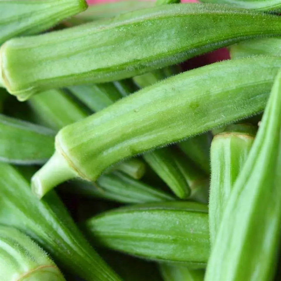 Okra Seeds 30 Ct Perkins Long Pod Non-GMO Heirloom Vegetable Seeds for Gardening