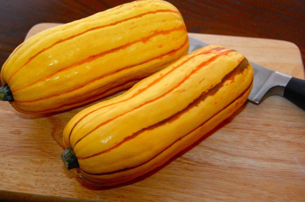Delicata Winter Squash Seeds - Fresh Seed for Planting - Cucurbita pepo - Organic, Heirloom Variety