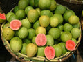 Pink Guava Seeds - 10 Pack - Psidium guajava - Tropical Fruit Seeds - Non-GMO - Free Shipping