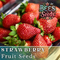 Crimson Treat Strawberry Seeds - Non-GMO Flower Seeds - 150 Seeds - Fragaria × ananassa