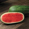 Premium Heirloom Watermelon Seeds - Cal Sweet Supreme - Fresh & Flavorful - Citrullus lanatus