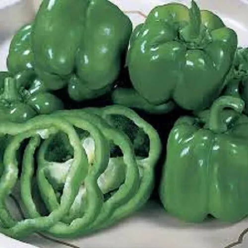 Premium California Bell Pepper Seeds - Most Popular Variety - Capsicum annuum