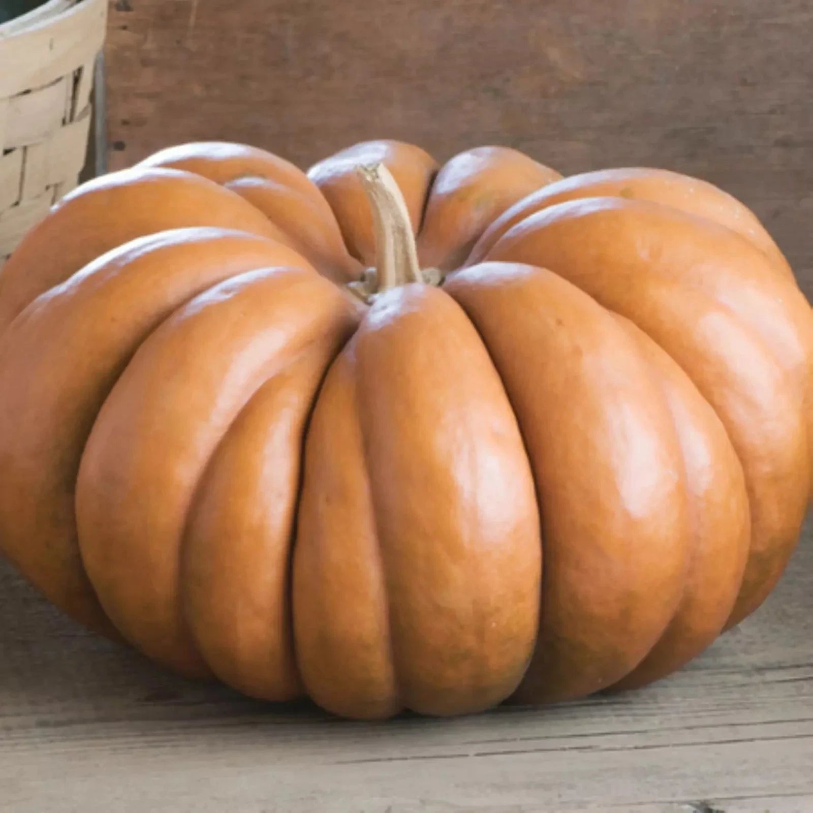 Fairytale Pumpkin Seeds - 30 Non-GMO Heirloom French Cooking Seeds - Organic Garden Variety