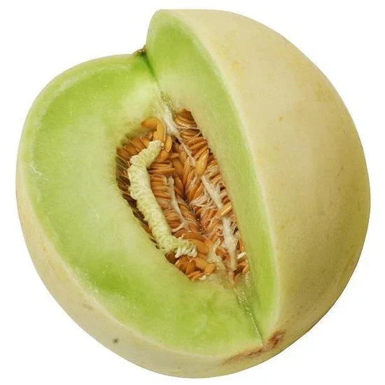 Honeydew Seeds - Organic Heirloom Green Flesh Winter Melon - NON-GMO - 50+ Seeds