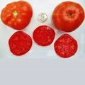 Trophy Seeds - 25 Fresh Seeds - Assorted Varieties - Perfect for Gardening - Quality Planting Seeds