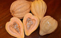 Squash Seeds - Thelma Saunders Winter Squash - Fresh Heirloom Seeds - Cucurbita maxima