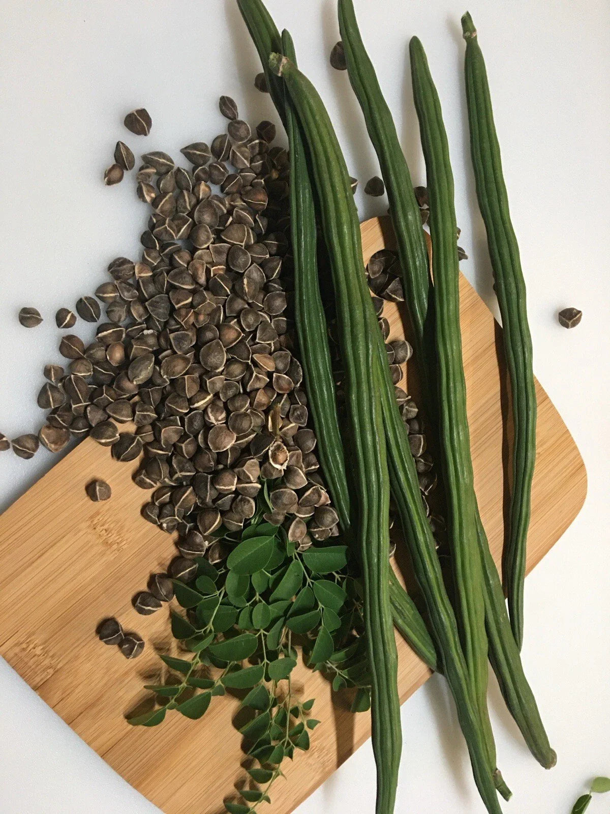 Moringa Seeds - 50+ Non-GMO Malungay Seeds for Planting - Moringa oleifera