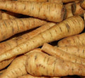 PARSNIP SEEDS 200+ Harris Early Model Vegetable Garden Culinary Seeds