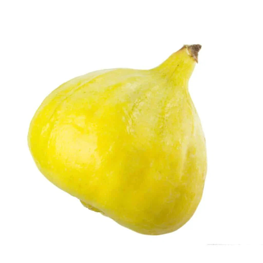 Desert King Fig Seeds - 100+ Premium Seeds for Garden Planting - Ficus carica - USA Grown, Free Shipping