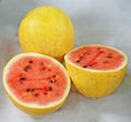 Golden Midget Watermelon Seeds - Fresh Seed for Planting - Citrullus lanatus