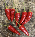 Paprika Spice Pepper Seeds - Heirloom Non-GMO Capsicum Variety - 25 Seeds