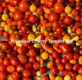 Rainbow Cherry Tomato Seeds Mix - Heirloom Non-GMO Indeterminate - 100 Seeds - Perfect for Home Gardening