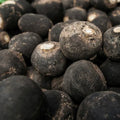 Spanish Black Radish Seeds - Non-GMO - 1,000 Seeds - Raphanus sativus var. niger
