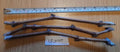 Grape Vines Cuttings - Ladyfingers White Variety - 3 Plant Cuttings - Vitis vinifera