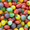Rainbow Cherry Tomato Seeds Mix - 50+ Seeds - Heirloom Variety - Solanum lycopersicum