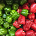 Sweet California Wonder Bell Pepper Seeds, Set of 50 - Capsicum annuum