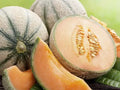 Extra Sweet Tuscan Cantaloupe Seeds - 50 Pack, Rockmelon, Cucumis melo - Heirloom Variety for Home Gardening 2024