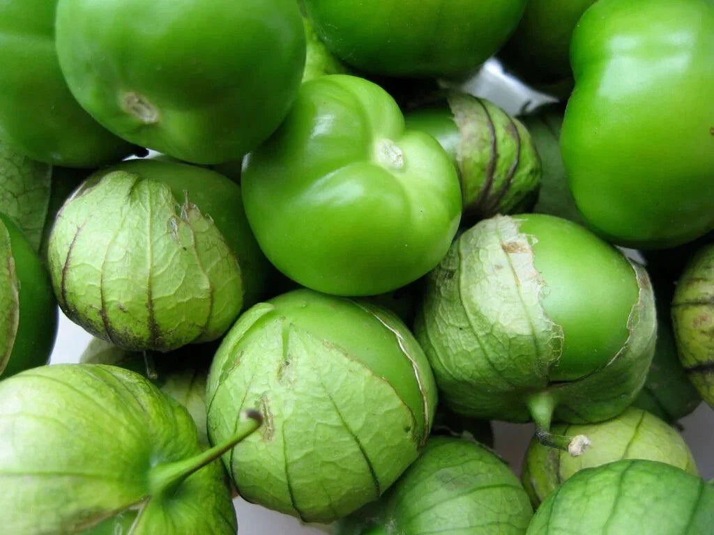 Grande Rio Verde Tomatillo Seeds, 50 Count, Non-GMO Mexican Husk Tomato, Organic Gardening