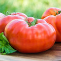 Red Brandywine Tomato Seeds 50 Ct | Heirloom Non-GMO Vegetable | Lycopersicon lycopersicum | USA Free Shipping