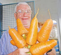 Giant Carrot Seeds Bulk 1000 Seeds Medicinal Healthful Fiber Antioxidant Daucus carota