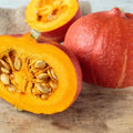 Red Uchiki Kuri Japanese Squash Seeds - 20 Non-GMO Seeds (Cucurbita maxima) - Sweet, Smooth Flesh, Ideal for Roasting and Pies