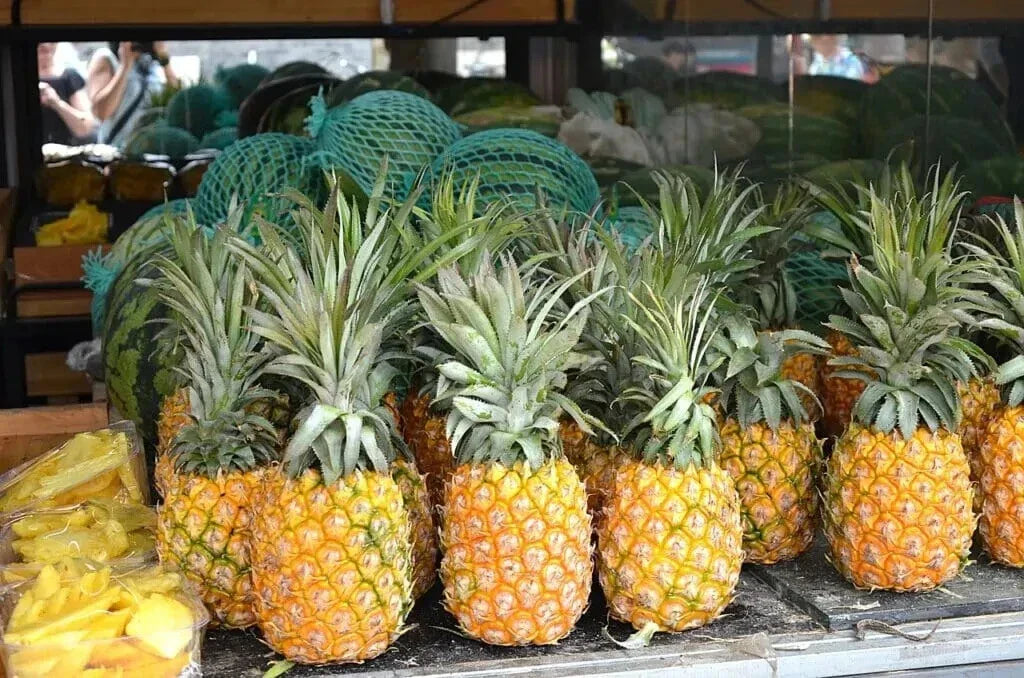 Cayena Lisa Pineapple Seeds - 15+ Pack for Garden Planting - Ananas comosus - USA Grown