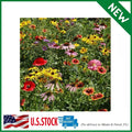 Wildflower Seed Mix - 1 lb Premium Blend of Annual & Perennial Native Flowers - Midwest Seed Mix