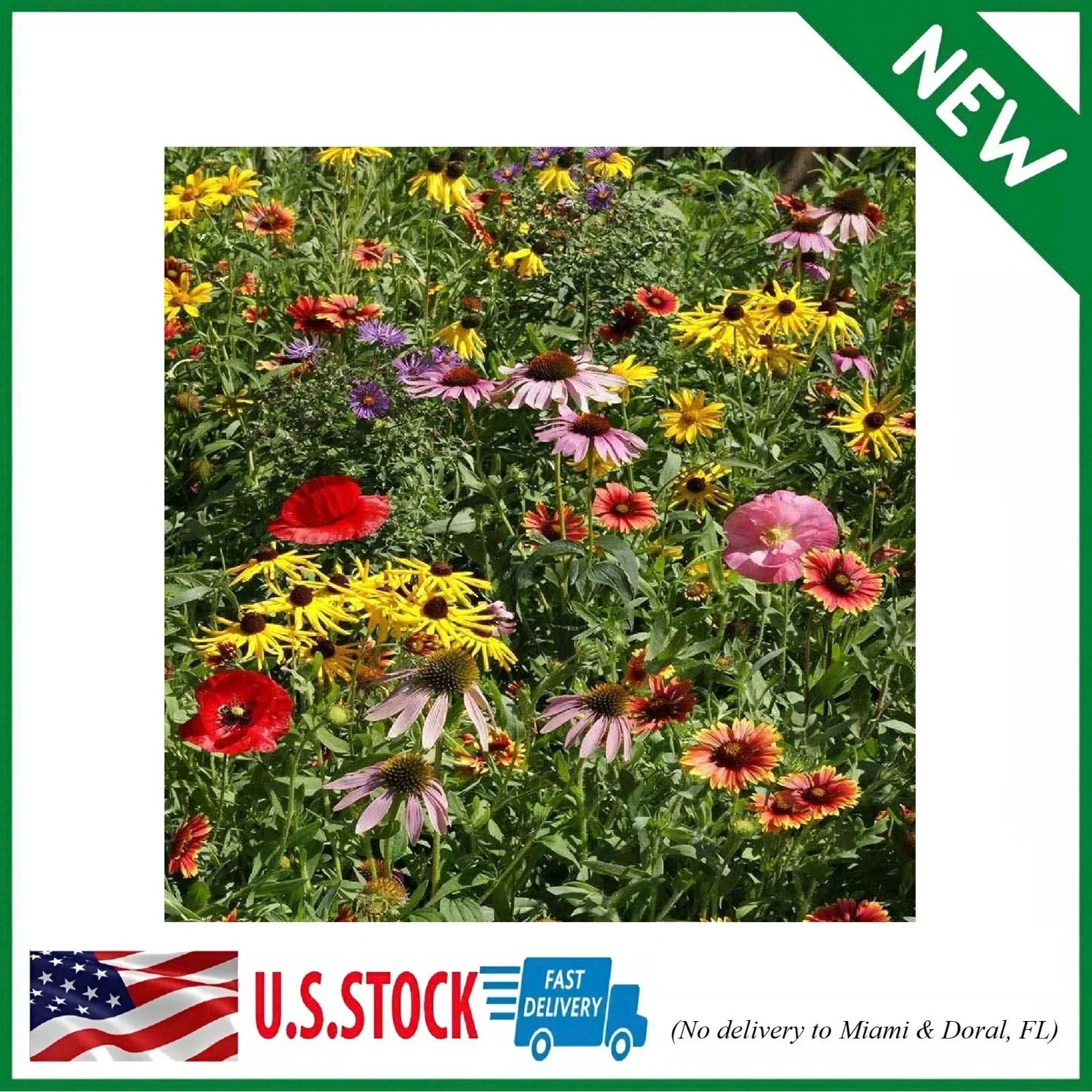 Wildflower Seed Mix - 1 lb Premium Blend of Annual & Perennial Native Flowers - Midwest Seed Mix
