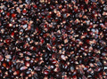Dakota Black Popcorn Seeds - Fresh Popcorn Seed Variety - Zea mays everta - Non-GMO, Heirloom, Free Shipping