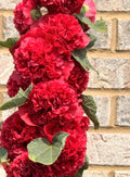 Hollyhock Seeds - Chater's Double Red - Non-GMO Biennial - 30 Seeds - Alcea rosea