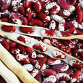 Jacob's Cattle Bean Seeds - 20 Seeds - High Yielding Variety - Phaseolus vulgaris