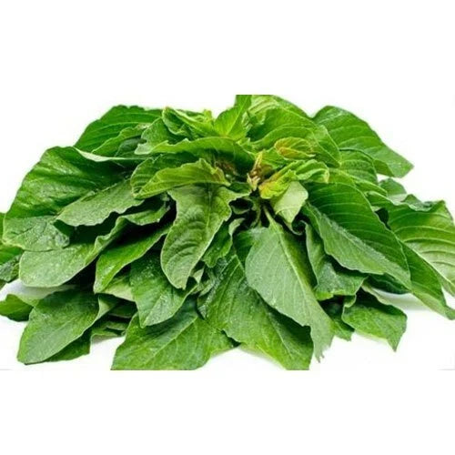 Green Amaranth Seeds - 500+ Count, Chinese Spinach Yin Cho, Edible Vegetable, Amaranthus viridis, USA