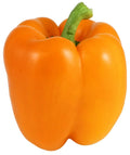 Orange Bell Pepper Seeds - 50+ Non-GMO Heirloom Seeds for Fresh Garden | Capsicum annuum