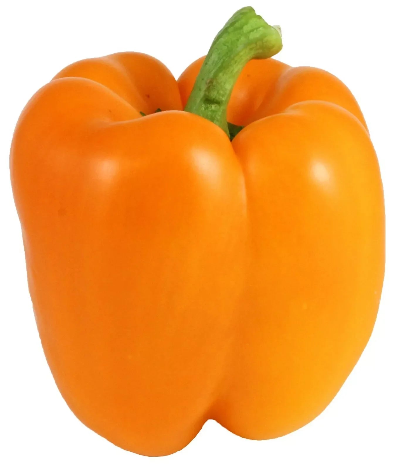 Orange Bell Pepper Seeds - 50+ Non-GMO Heirloom Seeds for Fresh Garden | Capsicum annuum
