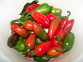 Early Jalapeno Pepper Seeds | Non-GMO | Fresh Garden Seeds | Capsicum annuum