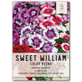 Sweet William Wildflower Seeds for Planting - Dianthus barbatus - Colorful Perennial Garden Flowers