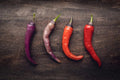 Buena Mulata Pepper Seeds - 50+ Seeds - Versatile Edible Pepper for Planting - Capsicum annuum