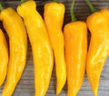 Golden Marconi Pepper Seeds 30+ Sweet Vegetable Seeds Capsicum annuum - Ideal for Home Garden