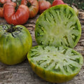 Cherokee Green Tomato Seeds - 30+ Heirloom Organic NON-GMO - Rare Varieties - Solanum lycopersicum