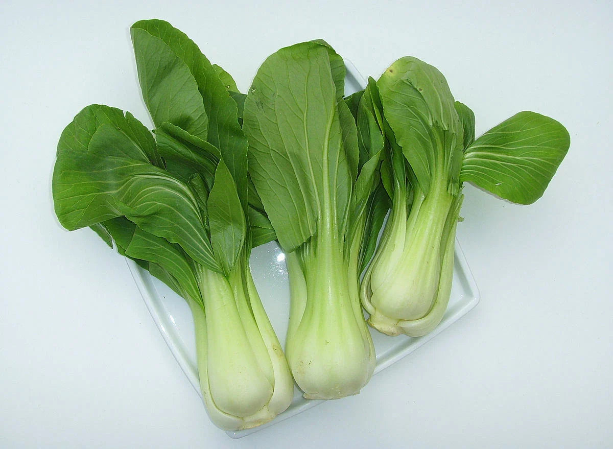 4000+ Bok Choy Seeds, Canton Variety, Non-GMO Chinese Cabbage, Brassica rapa, USA Seller