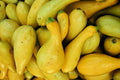 Crookneck Squash Seeds 30 Ct Golden Yellow Summer Vegetable Garden Cucurbita pepo