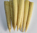 Sweet Corn Seed - Mini Sweet Variety - Fresh Seeds - Zea mays - Non-GMO, Heirloom, Garden Planting