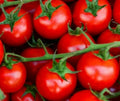 Large Red Cherry Tomato Seeds, 100+ Count, Indeterminate, Solanum lycopersicum, Garden Vegetables, Heirloom