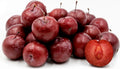 American Plum Tree, Flowering Fruit Shrub, Prunus americana, Zones 3-8, Hardy Fruit Tree