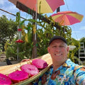 Self Pollinated Dragon Fruit Plant - Pink Flesh Variety - Hylocereus undatus