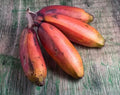 Red Dacca Banana Plant - Live Plant - Cuban Red Banana - Musa acuminata 'Dacca'