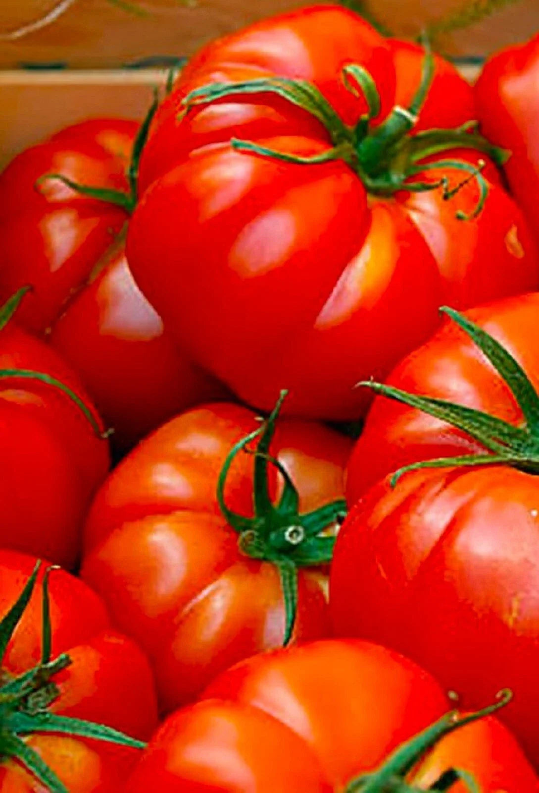 Red Beefsteak Tomato Seeds - 50+ Non-GMO Seeds - Heirloom Variety - Solanum lycopersicum